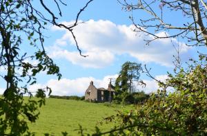 Country House