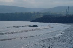 Waves 2